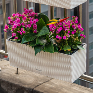 Pots de fleurs rectangulaires en plastique, <span class=keywords><strong>grand</strong></span> format en rotin, colorés pour plantes murales, pour le jardinage de la maison, offre spéciale, - Product Image 2