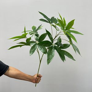 Hojas Artificiales de Árbol del Dinero Meng Jie, 80cm, Hoja Grande, Rama de Dos Ramificaciones, Material para Arreglos Florales y Decoración del Hogar - Product Image 1