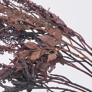 Ramas de Helecho Artificiales Plain Realm en Marrón, Amarillo, Rojo, Gris Oscuro, Morado Oscuro y Rojo Vino, de LDPE, para Decoración del Hogar, Manualidades y Arte Floral - Product Image 5
