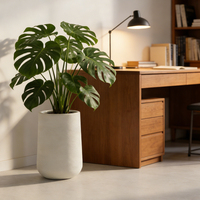 2026 Pots de sol hauts de qualité supérieure, écologiques, durables, minimalistes, pour plantes d'intérieur, jardinières rustiques d'extérieur, grands pots de jardin en gypse