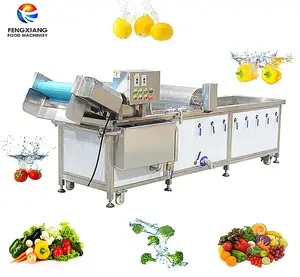 WA-1000 figue machine à laver à bulles automatique machine à laver les légumes