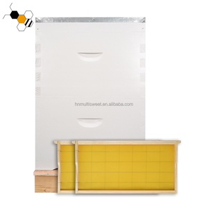 Colmena <span class=keywords><strong>de</strong></span> abejas <span class=keywords><strong>de</strong></span> madera australiana completa con marco para equipo <span class=keywords><strong>de</strong></span> apicultura doble 10F colmena <span class=keywords><strong>de</strong></span> profundidad completa - Product Image 5