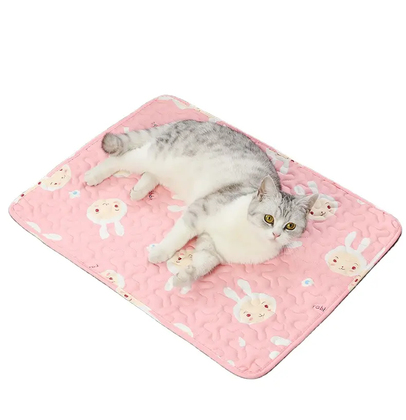 Pet Dog Mat Schlafende Katze Isomatte Dog Cotton Pad Kennel Supplies Sommer Rutsch feste Hunde matte