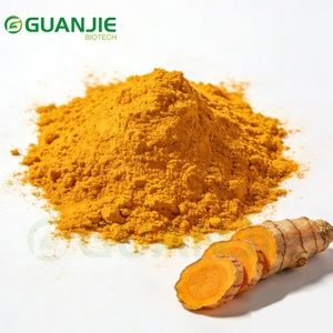 Harga Grosir Ekstrak Kunyit Kemurnian Tinggi 95% Kurkumin - Product Image 1