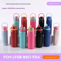 Gobelet cylindrique à double paroi en acier inoxydable 304, pour hommes et femmes, gobelet à fruits à double boisson, bouteille d'eau de sport de plein air