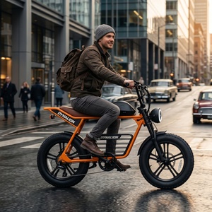 Vélo électrique à pneus larges de 20 pouces avec frein à disque hydraulique, vélo tout-terrain avec pédales pliables pour les voyages d'aventure en plein air - Product Image 6