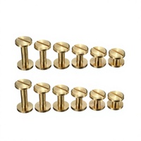 Vis Chicago fendues en laiton, brillantes, non revêtues, mâles et femelles, rivets de fixation, qualité A, 3 mm, pour assemblage de reliures de livres et albums en cuir
