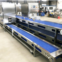 Ligne de traitement automatique complète des légumes pour la production de fruits secs et la machine de séchage des tomates