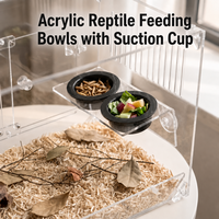 Plateau d'alimentation pour reptiles à ventouse suspendue, accessoires de décoration de terrarium, bol à nourriture et à eau pour serpent, araignée, caméléon, gecko