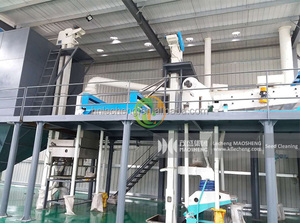 Planta <span class=keywords><strong>de</strong></span> procesamiento <span class=keywords><strong>de</strong></span> granos del fabricante para máquina <span class=keywords><strong>de</strong></span> limpieza <span class=keywords><strong>de</strong></span> centeno <span class=keywords><strong>de</strong></span> trigo sarraceno <span class=keywords><strong>de</strong></span> avena con limpiador <span class=keywords><strong>y</strong></span> clasificador <span class=keywords><strong>de</strong></span> <span class=keywords><strong>semillas</strong></span> <span class=keywords><strong>de</strong></span> motor - Product Image 4