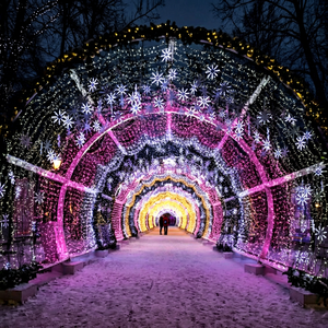 LED arch-shaped tunnel pattern lights Festival Outdoor Modular LED Corridor IP65-rated for Winter Wonderland Park and Hotel - Product Image 1