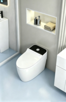 WC intelligent en céramique de luxe, non électrique, à chasse d'eau par bouton poussoir, avec chasse d'eau avant et arrière, pour salle de bain d'hôtel, à siphon en S, de haute qualité