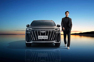 新款吉利豪越L 2.0T DCT尊享版涡轮发动机7座中国汽车汽油车吉利豪越L订金 - Product Image 6