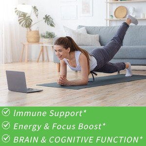 Customized Natural Mushrooms Powder with Mushroom Fruiting Body Extract Blend Cognitive Support and Boost Focus Memory Powder - Product Image 6