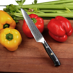 5 pollici Alto Tenore di Carbonio 67 Strati VG10 di Damasco <span class=keywords><strong>Acciaio</strong></span> Inox Coltello <span class=keywords><strong>Da</strong></span> <span class=keywords><strong>Bistecca</strong></span> - Product Image 6