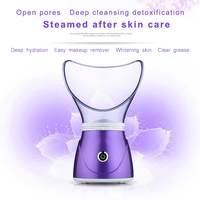 Pulvérisateur pour le visage, machine à vapeur professionnelle, plus populaire pour la maison