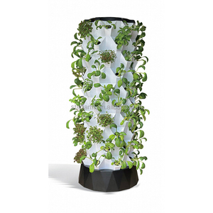 Système de culture hydroponique en <span class=keywords><strong>tour</strong></span> à 6 niveaux pour ananas, avec pompe, en promotion - Product Image 2