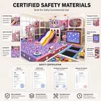 Parque Infantil Temático Ciudad de Juegos Castillo Real TUV Mini Escenario Comercial Puente Pasarela Piscina de Bolas Entrega Llave en Mano Operador FEC