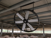 Ventilateur de circulation à panneaux haute performance pour hangar, avec moteur BLDC à entraînement direct, pour le refroidissement des porcheries