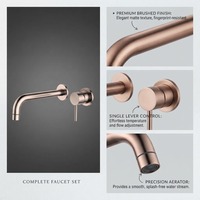 Robinet mitigeur mural moderne en laiton couleur canon de fusil avec cartouche céramique et 1 poignée pour salle de bain