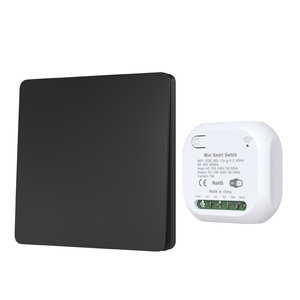 Mini interrupteur mural intelligent 10A RF433 240V 1 voie à commande tactile avec couvercle en plastique Fabriqué en Chine - Product Image 6