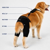 Attelle de Soutien Lombaire Ajustable pour Chien, pour Dysplasie de la Hanche, Soutien à la Mobilité Canine, PETSGUARD PG0010 Anti-Rayures pour la Rééducation