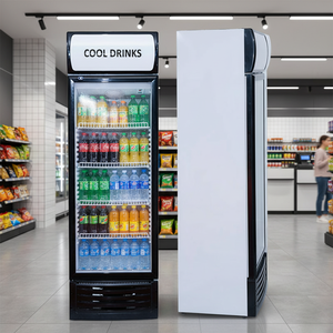 <span class=keywords><strong>Vitrina</strong></span> de congelación <span class=keywords><strong>vertical</strong></span> Exhibición <span class=keywords><strong>vertical</strong></span> Enfriador de cola Puerta de vidrio simple <span class=keywords><strong>Vitrina</strong></span> de refrigerador <span class=keywords><strong>vertical</strong></span> comercial - Product Image 4