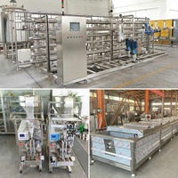Complete semi-automatische productielijn voor tomatenjam, -puree, -ketchup en -pasta met afvullijn
