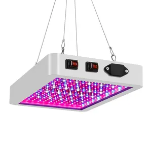 Volledige Spectrum Led Plantaardige Licht 2000W Led Grow Lamp Voor Greenhouse Zaaien Raising