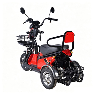 Tricycle électrique 2 places 1000W pour adultes, type carrosserie ouverte, capacité de charge 200-300 kg - Product Image 5