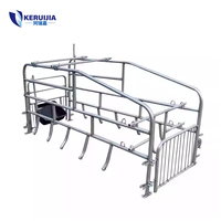 Nouvelle cage de maternité pour truies en acier galvanisé, 220*60cm, longue durée de vie
