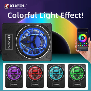 Subwoofer Attivo Ultra-sottile per Auto da 10 Pollici con Luce a Forma di Teschio, 12V, Modifica Audio per Auto - Product Image 3