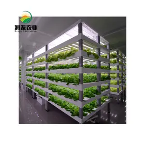 Greenhouse span multi span com sistema cultivo hidropônico vertical de pvc