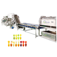 Ligne de traitement entièrement automatique de jus de fruits frais (orange, agrumes, citron)