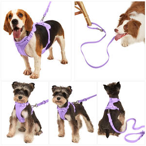 Nouveau transfrontalier rembourré bouton fermeture PVC collier de chien corde de Traction Anti-morsure étanche tactique poitrine dos quatre pièces ensemble - Product Image 1
