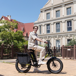 <span class=keywords><strong>Bici</strong></span> Elettrica Cargo KOOLUX X8 con Batteria Doppia da 65Ah, NFC, APP, Lunga Autonomia, Portapacchi <span class=keywords><strong>Posteriore</strong></span> e Seggiolino Bambini - Disponibile in Magazzino EU/UK per Dropshipping - Product Image 4