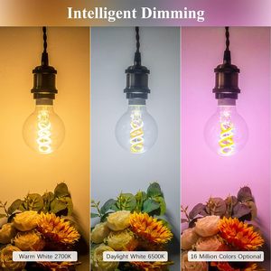 <span class=keywords><strong>A60</strong></span> Globe CCT wifi thông minh <span class=keywords><strong>LED</strong></span> bóng đèn dây tóc 6 Wát xoắn ốc <span class=keywords><strong>Filament</strong></span> 2200K-6500K turable bóng ứng dụng Alexa điều khiển cổ điển Edison - Product Image 5
