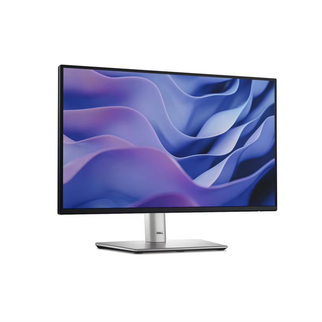 Pro 22 Inch Plus Monitor P2225H - FHD IPS Display