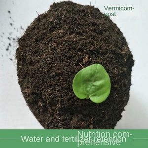 بيع بالجملة فيرميكومبوست الأسمدة العضوية المخمرة دودة الأرض-وجبة العظام مع البكتيريا الحية للزراعة العضوية - Product Image 4