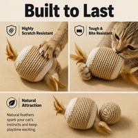 Lots de jouets écologiques en sisal, jouets interactifs résistants aux morsures et aux griffures pour chatons