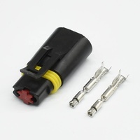 Bouchon d'injecteur de carburant DJ7029CA-2.3-11/21 connecteur automobile avec bornes pour systèmes d'injection et de gestion de carburant du moteur