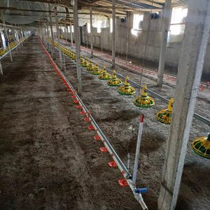 מזין עוף פלסטיק אוטומטי ושתה עם מנוע טיימר לחקלאות עופות-מצב חדש - Product Image 5