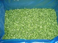 Cebollín Congelado IQF Directo de Fábrica, Grado A, Sin Aditivos, Caja de 10 kg para Catering, Producción de Empanadillas y Comidas Preparadas