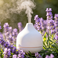 Huile de diffuseur concentrée de qualité supérieure à la lavande, parfum floral pour hôtel, spa, maison, diffuseur à bâtonnets, approvisionnement en gros