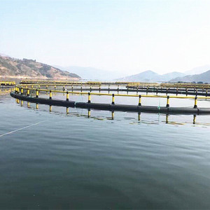 UV Stabilized HDPE Circular Sea Cage Anti-aging <b>Floating</b> Net Cage For Long-term Marine Usage - Product Image 1