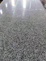 Granite moderne gris sésame SGZ G688 de haute qualité avec une texture uniforme pour les projets commerciaux résidentiels et extérieurs