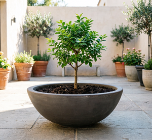 Jardinera Moderna Minimalista Grande para Exteriores - Perfecta para Paisajismo de Villas y Crear una Atmósfera Premium en la <span class=keywords><strong>Terraza</strong></span> - Product Image 3