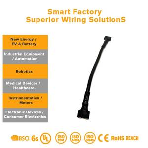 電動ホイストウインチリモコン配線ハーネスと鋼線ロープ（リフティングおよび資材搬送用） - Product Image 3