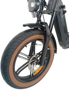Bicicleta Eléctrica de Paso Bajo con Batería de Litio de 48V20AH, Neumático Grueso de 20 Pulgadas, Motor de Cubo Trasero de 7 Velocidades - Product Image 4