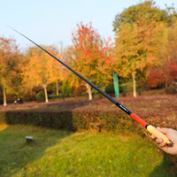 Canne à pêche télescopique DORISEA 29,9 cm en fibre de carbone ultra-légère avec poignée en liège pour la pêche au bar et à la carpe en rivière, 60 g